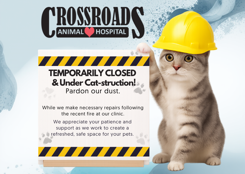 Carousel Slide 3: Learn More