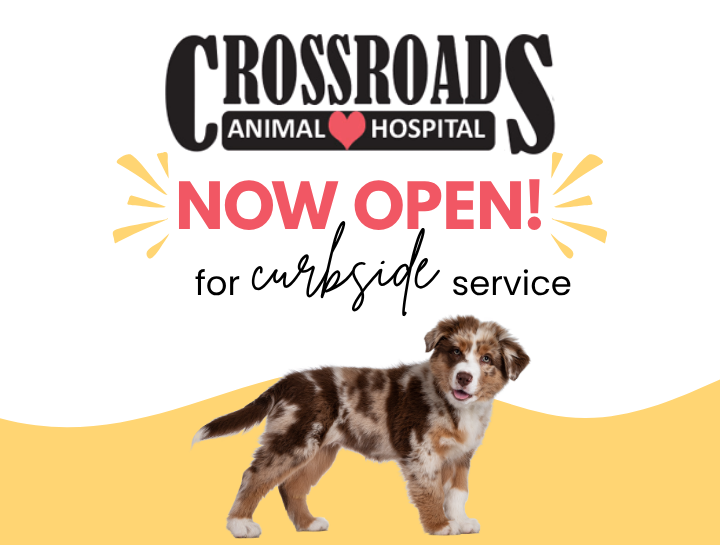 Great News! We’re Reopening Curbside