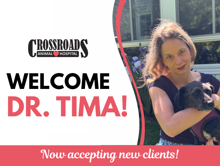 Welcome Dr. Tima to the Crossroads Animal Hospital Family!